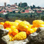 borgo_1