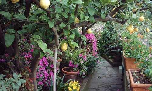 borgo_2